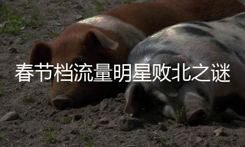 春節(jié)檔流量明星敗北之謎，原因探究與深度解析