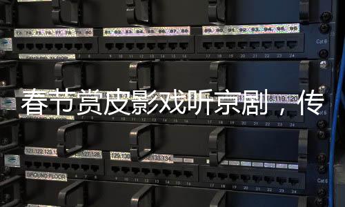 春節(jié)賞皮影戲聽(tīng)京劇，傳統(tǒng)藝術(shù)演繹華夏文化盛宴