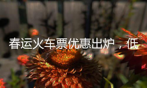 春運(yùn)火車(chē)票優(yōu)惠出爐，低至幾元起！助力千萬(wàn)返鄉(xiāng)游子團(tuán)圓過(guò)年