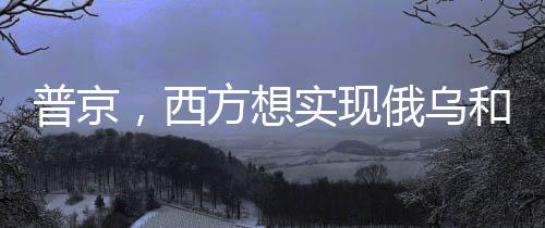 普京，西方想實(shí)現(xiàn)俄烏和平很簡單