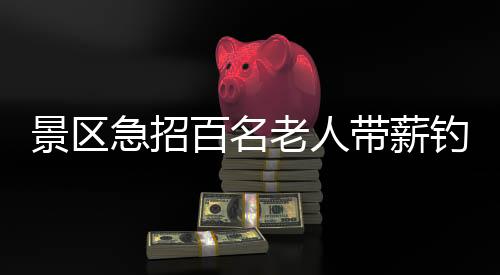 景區(qū)急招百名老人帶薪釣魚(yú)，垂釣體驗(yàn)與休閑旅游結(jié)合創(chuàng)新服務(wù)模式