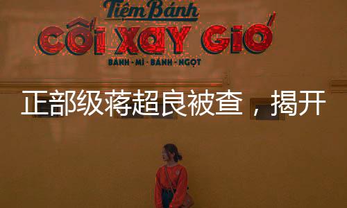 正部級蔣超良被查，揭開權(quán)力背后的隱秘面紗