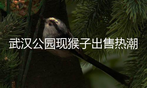 武漢公園現(xiàn)猴子出售熱潮，最低售價驚爆三千元起！
