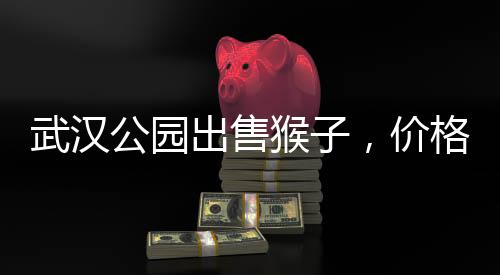 武漢公園出售猴子，價(jià)格起步3000元——引發(fā)關(guān)注和熱議