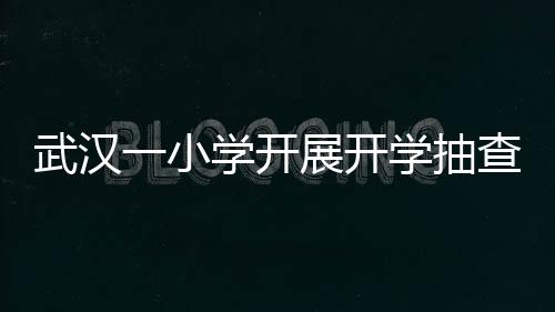 武漢一小學開展開學抽查行動，關注學生書包重量問題