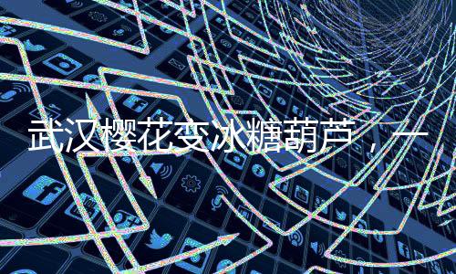 武漢櫻花變冰糖葫蘆，一場(chǎng)奇妙的融合之旅