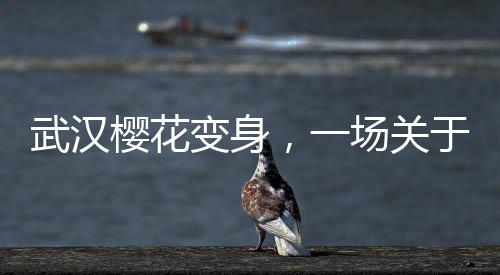 武漢櫻花變身，一場(chǎng)關(guān)于冰糖葫蘆的創(chuàng)意之旅