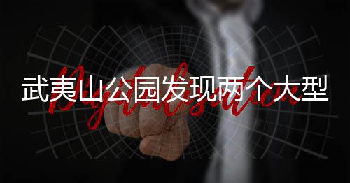 武夷山公園發(fā)現(xiàn)兩個大型真菌新物種，生態(tài)研究的新里程碑