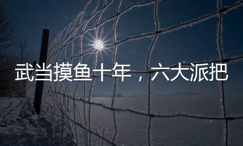 武當(dāng)摸魚十年，六大派把我曝光了
