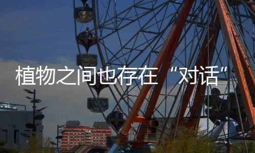 植物之間也存在“對話”交流？讀懂植物的“聊天記錄”