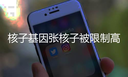 核子基因張核子被限制高消費，探究背后的故事與啟示
