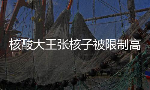 核酸大王張核子被限制高消費——關(guān)于企業(yè)家與個人責(zé)任的深度解讀