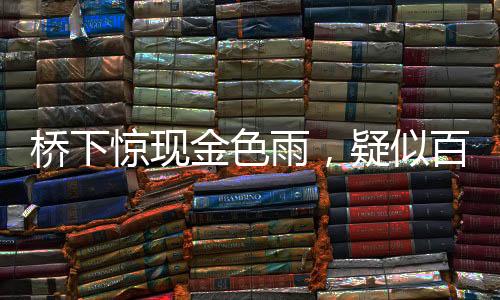 橋下驚現(xiàn)金色雨，疑似百元大鈔灑落，知情人揭秘背后真相