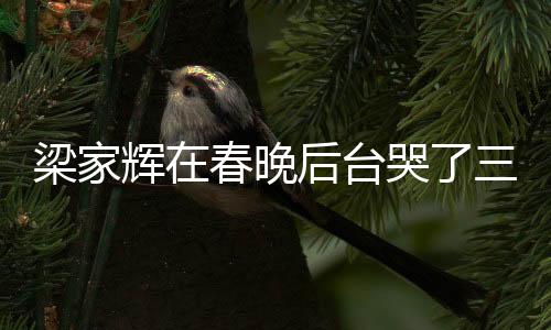 梁家輝在春晚后臺哭了三次，感人背后的故事