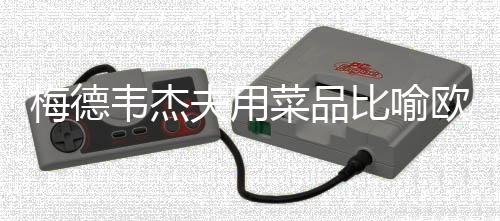 梅德韋杰夫用菜品比喻歐盟和英法烏，一場(chǎng)餐桌上的政治對(duì)話