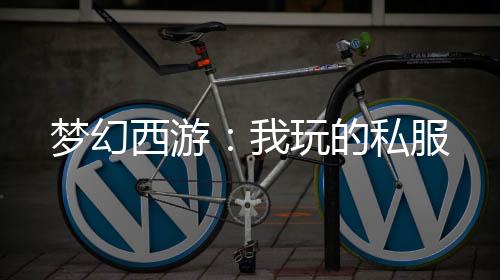 夢(mèng)幻西游：我玩的私服