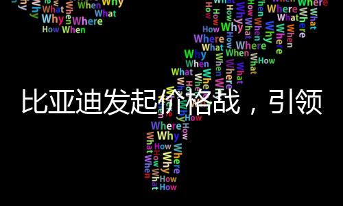比亞迪發(fā)起價(jià)格戰(zhàn)，引領(lǐng)新一輪行業(yè)變革
