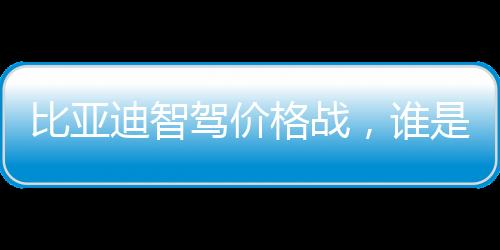 比亞迪智駕價(jià)格戰(zhàn)，誰是真正的緊張者？