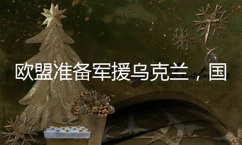 歐盟準(zhǔn)備軍援烏克蘭，國際局勢的進(jìn)一步緊張與復(fù)雜動向