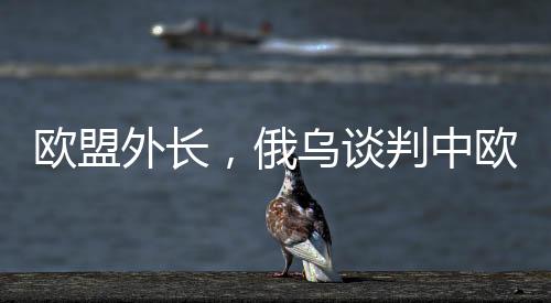 歐盟外長，俄烏談判中歐洲必須上桌