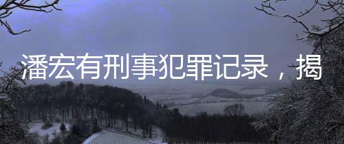 潘宏有刑事犯罪記錄，揭開真相的新聞深度報道