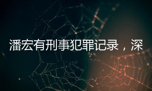 潘宏有刑事犯罪記錄，深入探究一起復(fù)雜案例