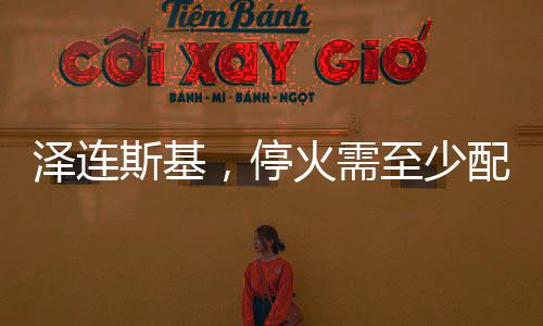 澤連斯基，?；鹦柚辽倥鋫涠f維和人員——俄烏局勢分析