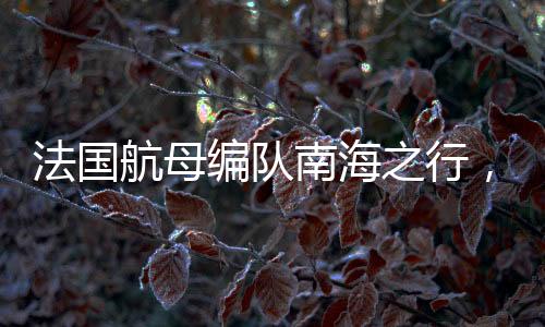 法國航母編隊南海之行，軍事展示還是地區(qū)安全關切？