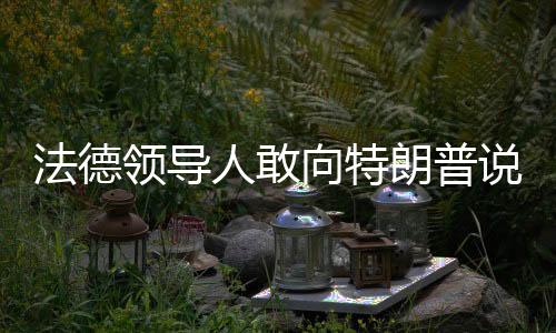 法德領(lǐng)導(dǎo)人敢向特朗普說不嗎？