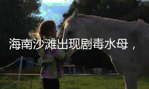 海南沙灘出現(xiàn)劇毒水母，游客安全警惕