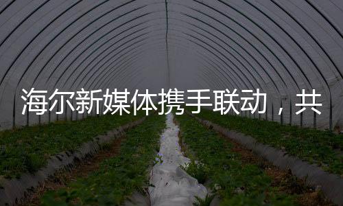 海爾新媒體攜手聯(lián)動，共同守護老總安全上線——企業(yè)內(nèi)部信息化力量協(xié)同合作打造網(wǎng)絡守護線