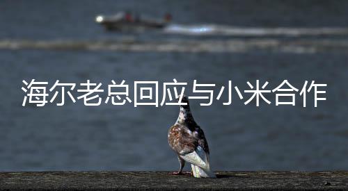 海爾老總回應(yīng)與小米合作的傳聞，開放合作，共創(chuàng)智能生態(tài)新篇章