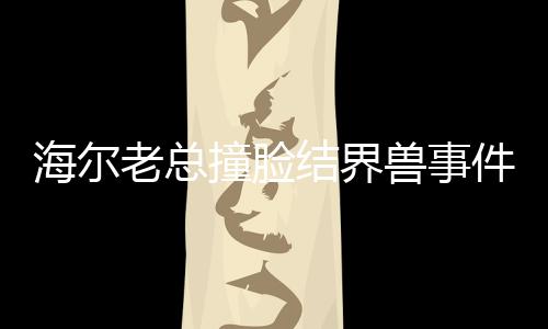 海爾老總撞臉結(jié)界獸事件，揭開背后的神秘面紗