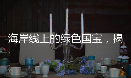 海岸線上的綠色國寶，揭示自然與文化的雙重寶藏