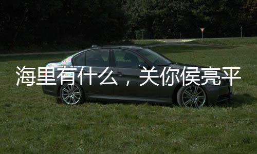 海里有什么，關(guān)你侯亮平屁事！