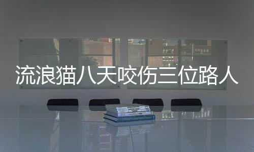 流浪貓八天咬傷三位路人，引發(fā)社會關注