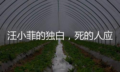 汪小菲的獨白，死的人應(yīng)該是我