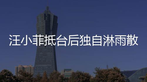 汪小菲抵臺后獨自淋雨散步，深夜感慨引發(fā)熱議