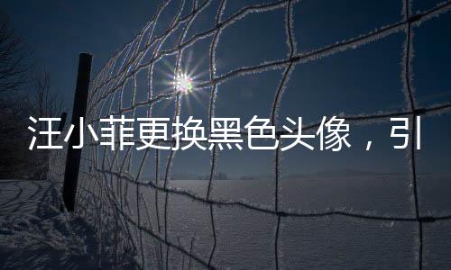 汪小菲更換黑色頭像，引發(fā)網(wǎng)友熱議