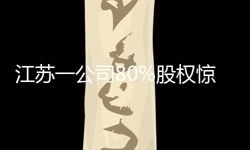 江蘇一公司80%股權(quán)驚現(xiàn)一元起拍，競(jìng)拍者輕松奪魁