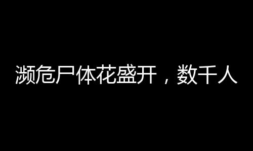 瀕危尸體花盛開，數(shù)千人排隊參觀的獨特現(xiàn)象