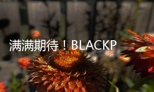 滿(mǎn)滿(mǎn)期待！BLACKPINK金智秀將于2月solo回歸