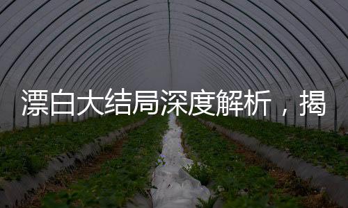 漂白大結(jié)局深度解析，揭開最后的秘密