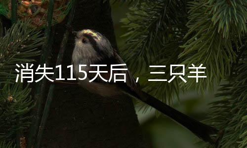 消失115天后，三只羊重返直播間，熱賣年貨迎新春