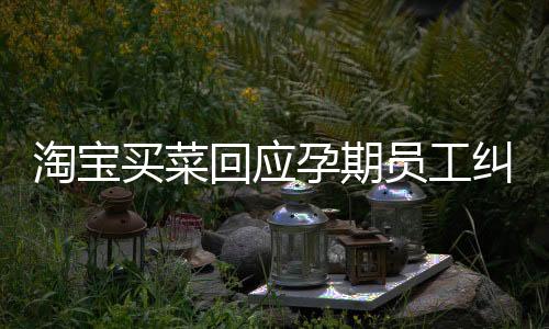 淘寶買菜回應(yīng)孕期員工糾紛事件
