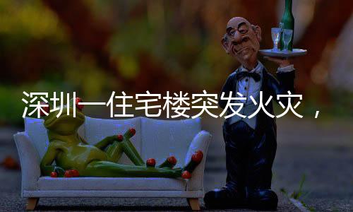 深圳一住宅樓突發(fā)火災(zāi)，現(xiàn)場黑煙直沖云霄