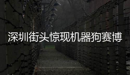 深圳街頭驚現(xiàn)機器狗賽博舞獅——人工智能與城市文化交融新亮點