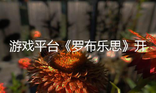 游戲平臺《羅布樂思》開發(fā)商2024年收入增長29%