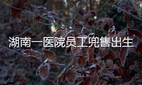 湖南一醫(yī)院員工兜售出生證事件曝光，丑聞背后的警示與思考