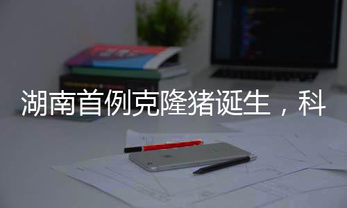 湖南首例克隆豬誕生，科技前沿的突破與創(chuàng)新里程碑